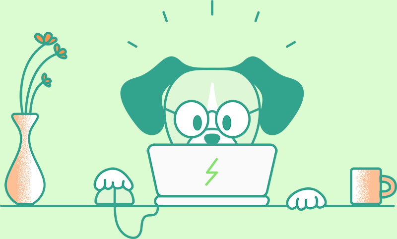 dog-on-laptop